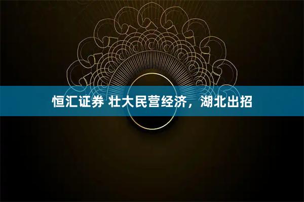 恒汇证券 壮大民营经济，湖北出招