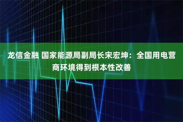 龙信金融 国家能源局副局长宋宏坤：全国用电营商环境得到根本性改善