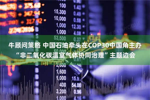 牛顾问策略 中国石油牵头在COP30中国角主办“非二氧化碳温室气体协同治理”主题边会