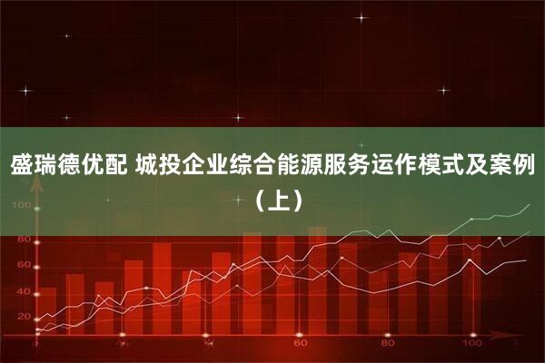 盛瑞德优配 城投企业综合能源服务运作模式及案例（上）