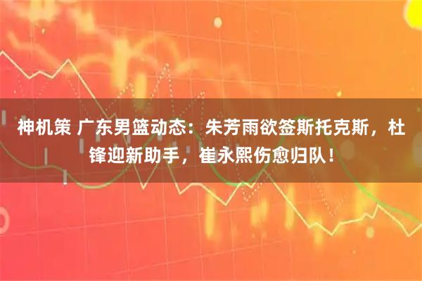 神机策 广东男篮动态：朱芳雨欲签斯托克斯，杜锋迎新助手，崔永熙伤愈归队！